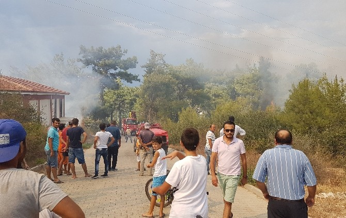 Antalya\'da Orman Yangını Mahalleliyi Sokağa Döktü