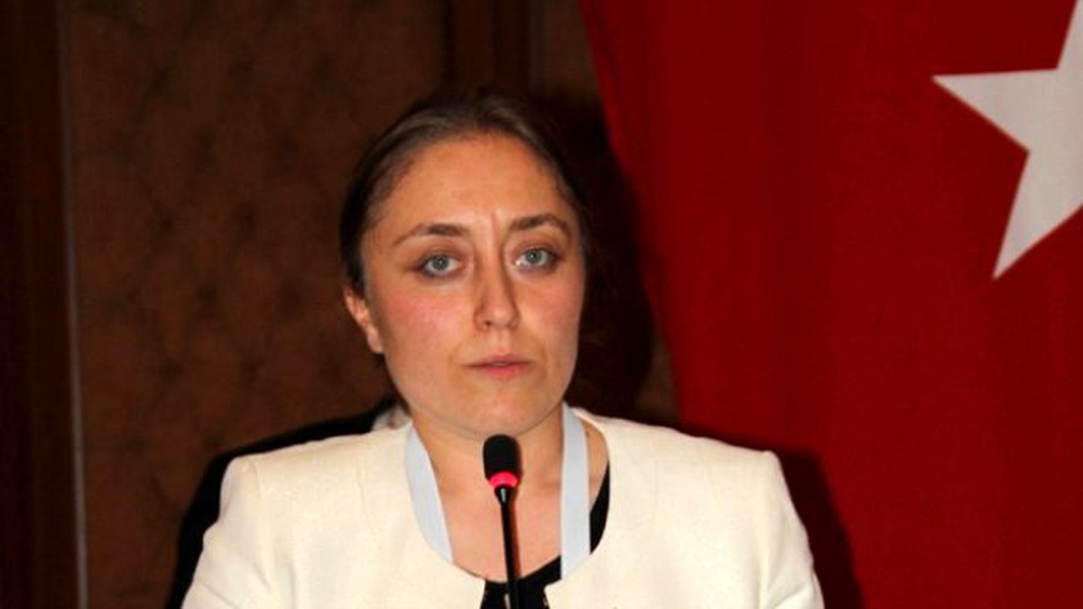 Buz Pateninde İş Birliği Çalıştayı