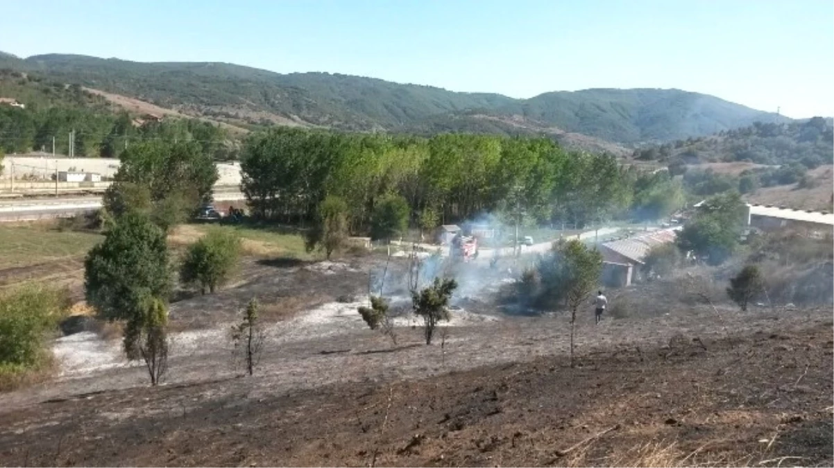 Elektrik Kablosuna Konan Kuş Yangına Sebep Oldu