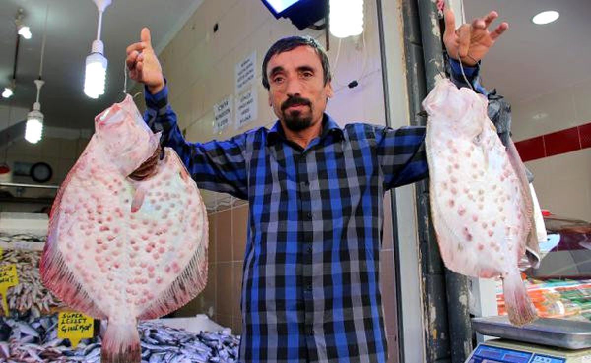 Karadeniz\'de Balık Daha da Bollaşacak