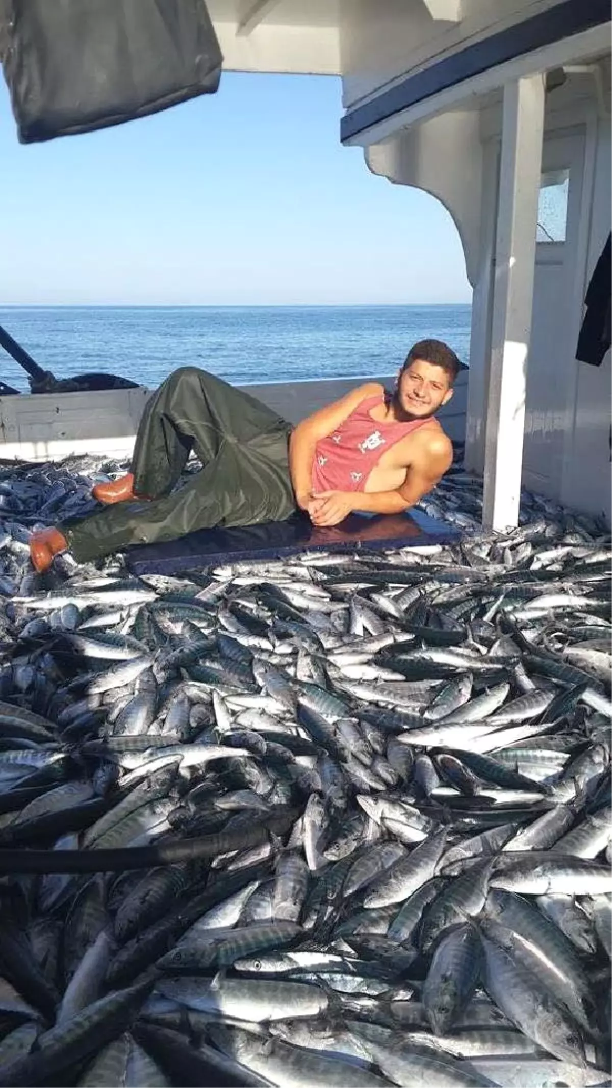 Kastamonulu Şehit Babası Acı Haberi Sosyal Medyadan Öğrendi