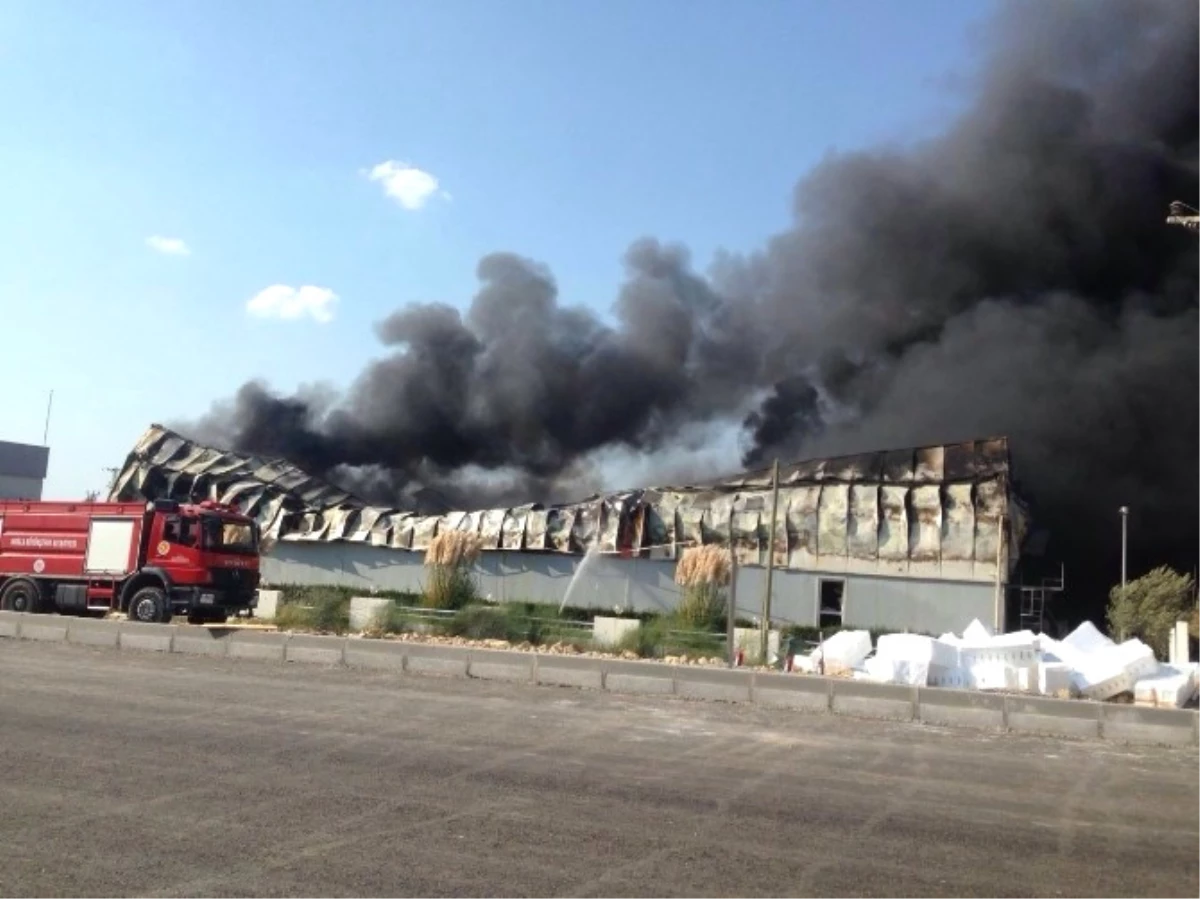 Milas\'ta Yangın Fabrikayı Kül Etti