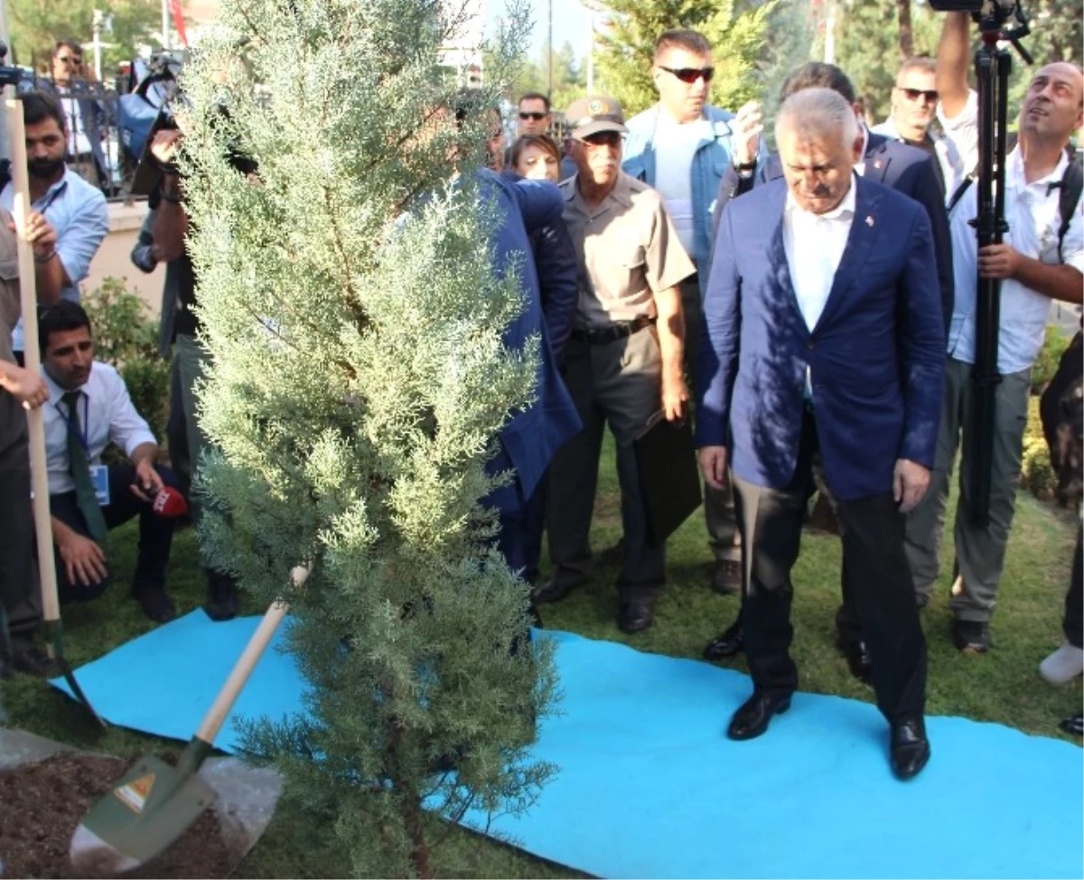 Başbakan Yıldırım, Valilik Bahçesine Ağaç Dikti