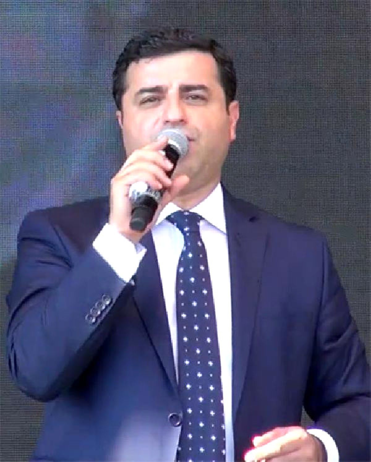 Demirtaş, Almanya\'da Apo İçin Açlık Grevi Çağrısı Yaptı