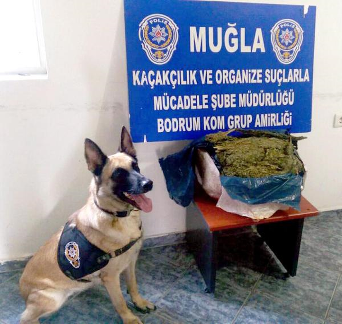 Kargoyla Gelen Sarımsak Kolisinden Esrar Çıktı
