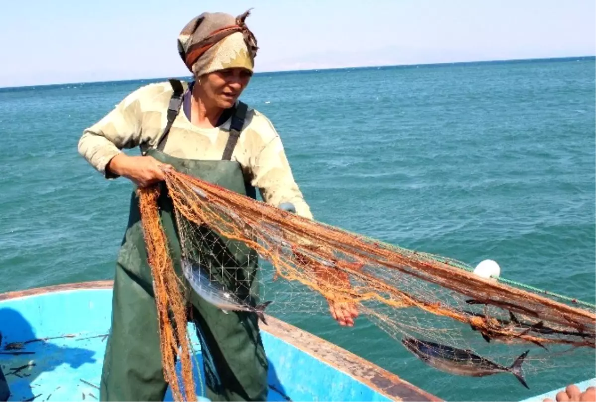 Ağların Sultanı, Ekmeğini Denizden Çıkartıyor