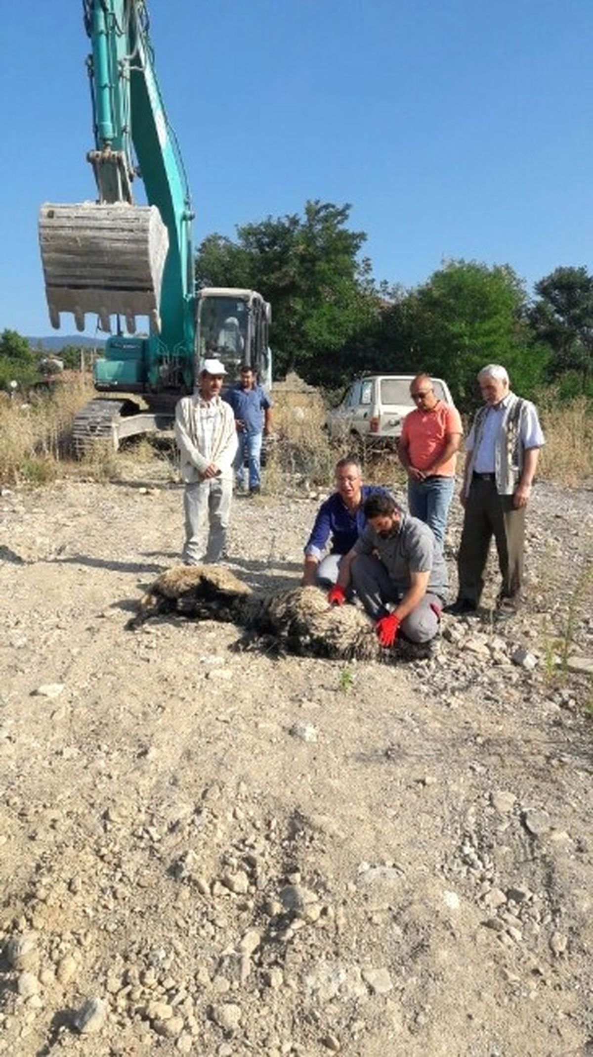 Batı Karadeniz\'in Dev Projesi \'Rüya Şehir\' Start Alıyor