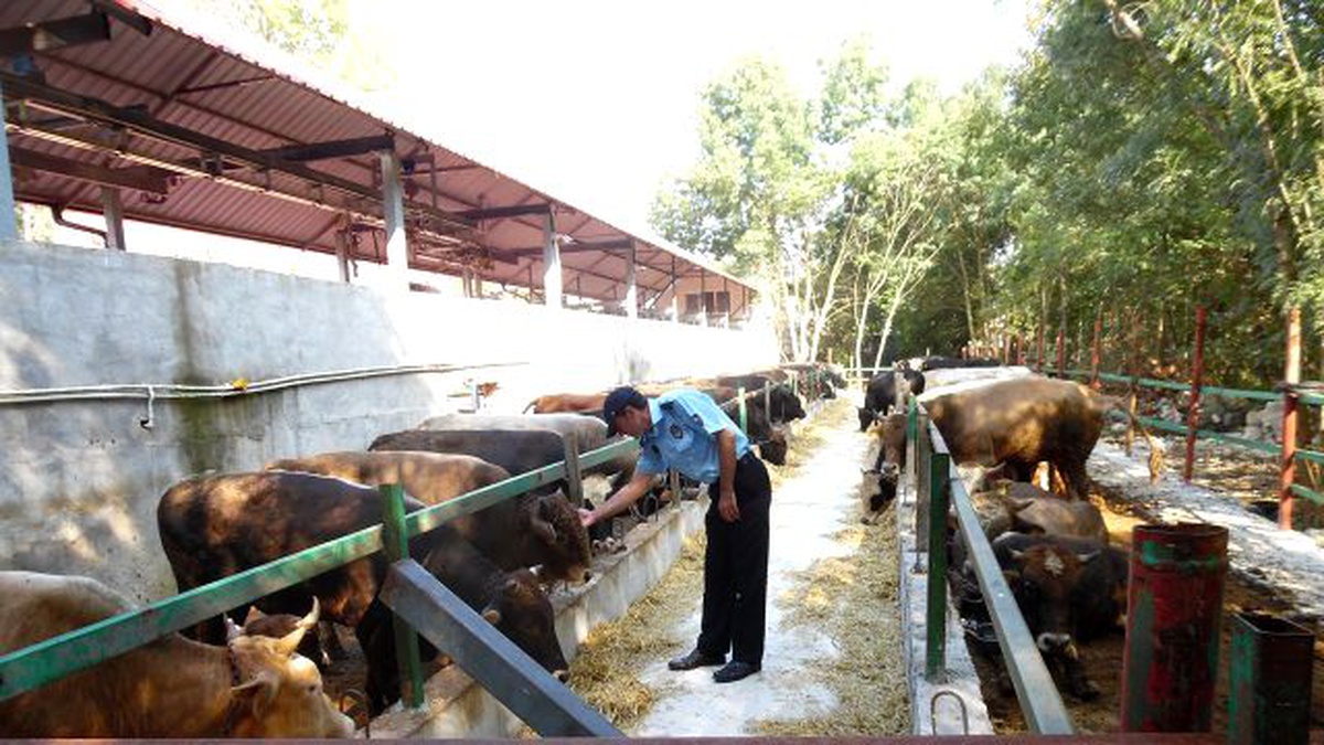 Kartepe\'de Kurban satış ve kesim yerleri denetlendi