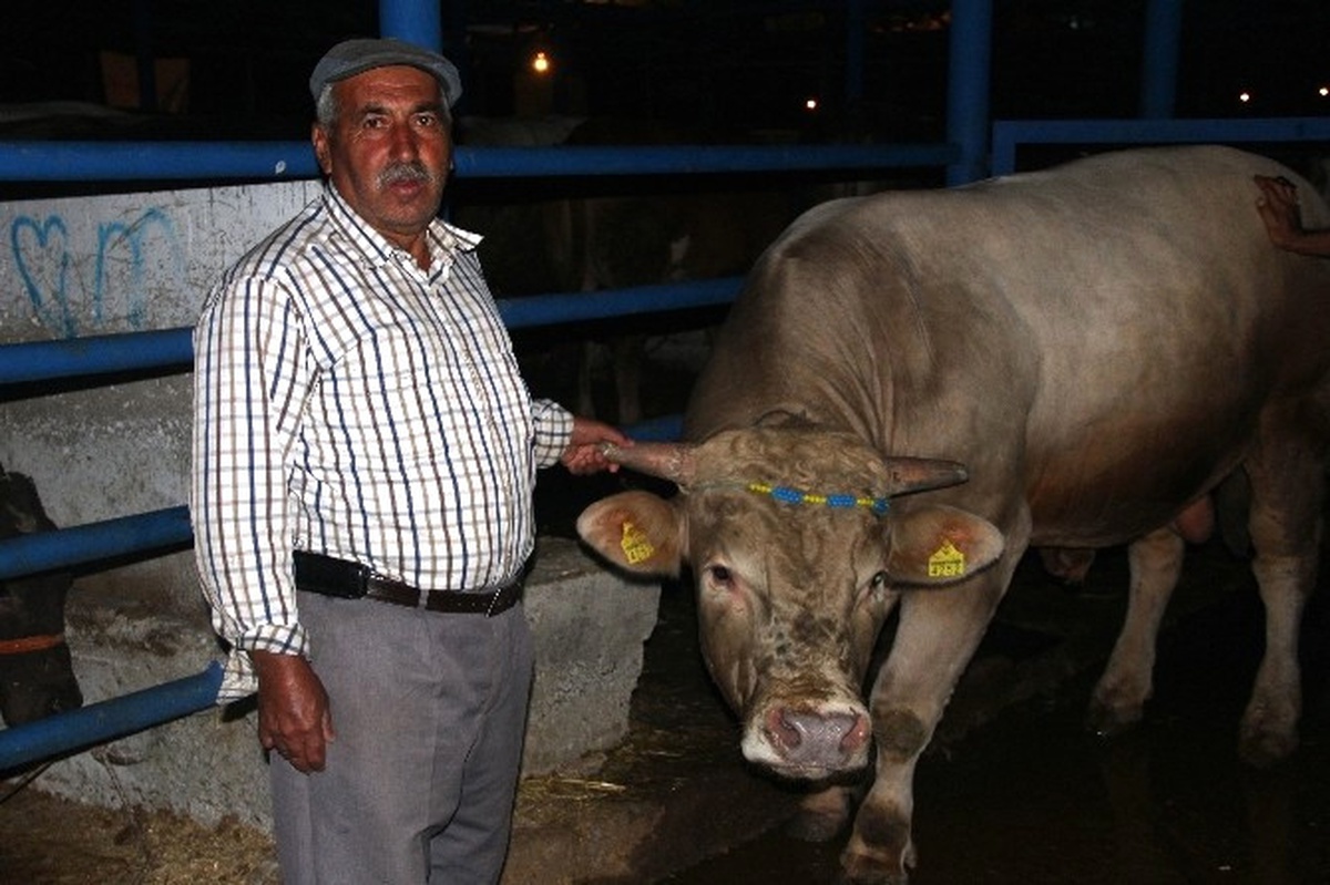 Kurban Pazarında Gece Nöbeti