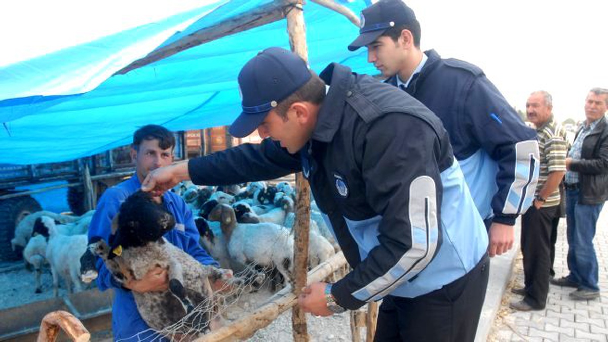 Kurban Satış ve Kesim Yerleri Belirlendi