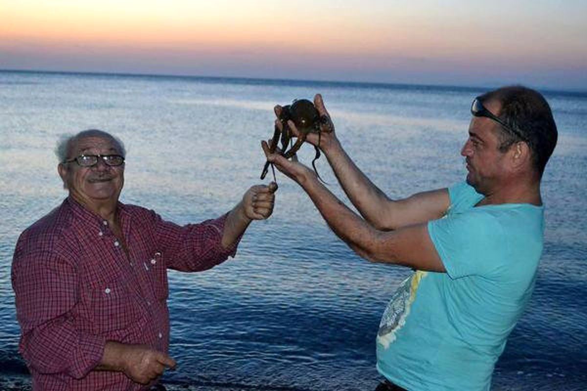 Oltasına Ahtapot Takıldı