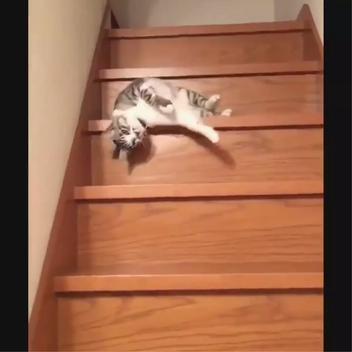 Pazartesi Sabahları İşe Giderken Ben