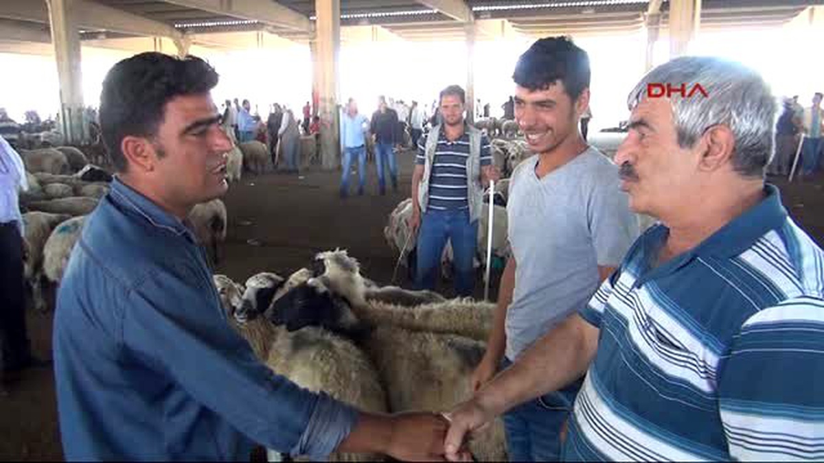 Şanlıurfa\'da Hayvan Pazarlarında Hareketlilik Arttı