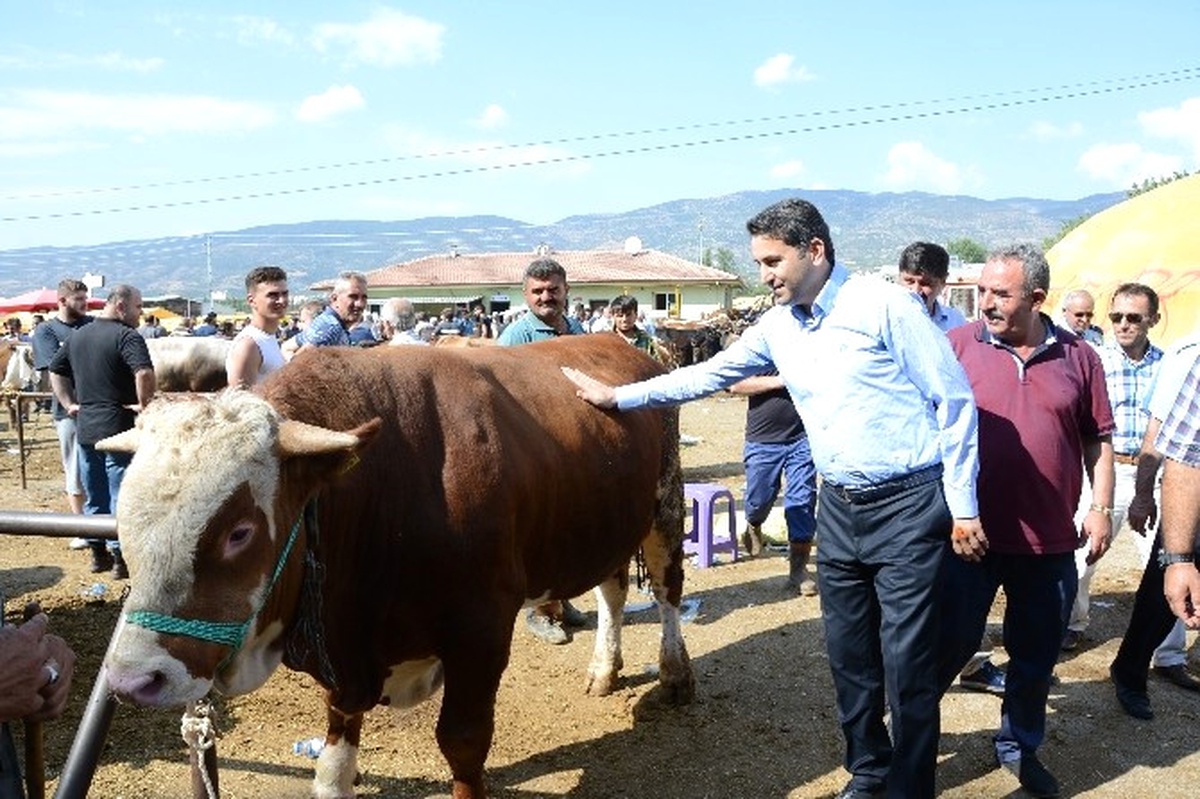 Tokat\'ta Kurbanını Kardeşinle Paylaş Kampanyası