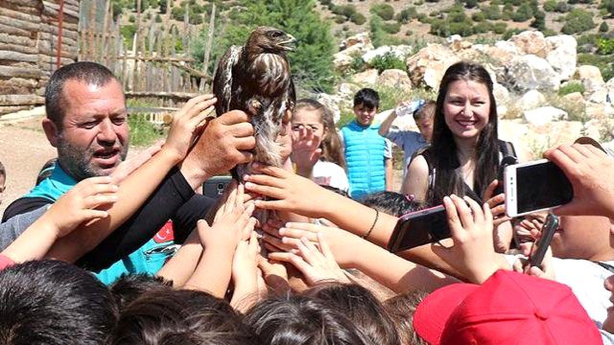 Yaban Hayvanlarını Hayata Döndürüyorlar