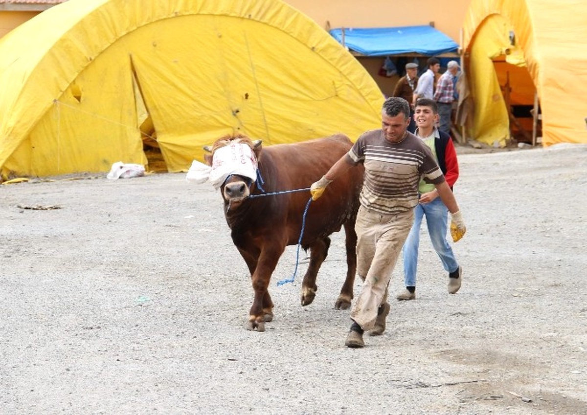 Yozgat\'ta Kurbanlık Hayvanlar Pazarda Alıcılarını Bekliyor