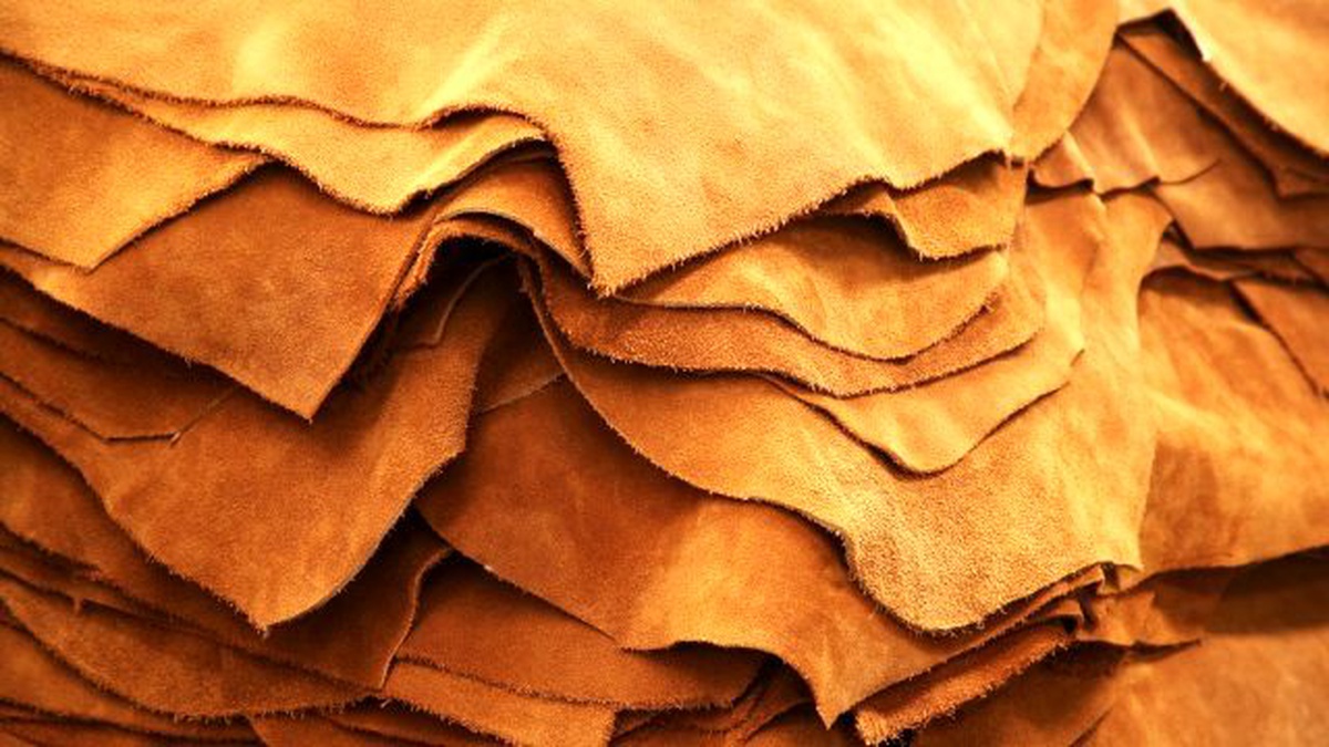Yüzüm ve Tuzlama Hataları Yapılması 20 Milyon Dolarımıza Mal Oluyor