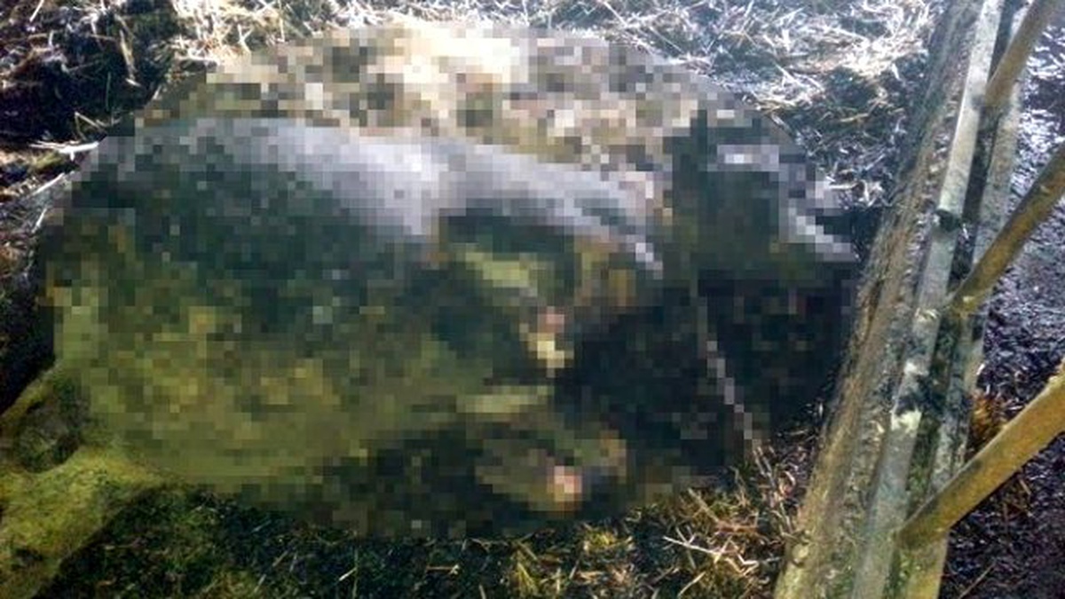 Yozgat\'ta Ahır Yangını