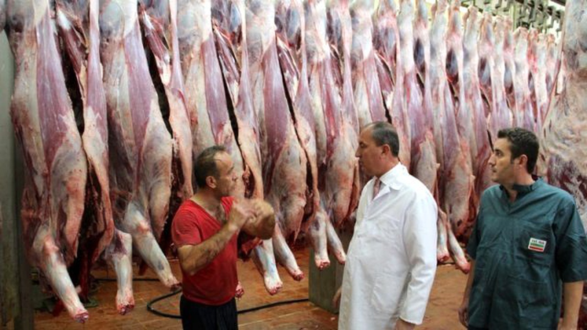 Başkan Işık, Mezbahada İncelemelerde Bulundu