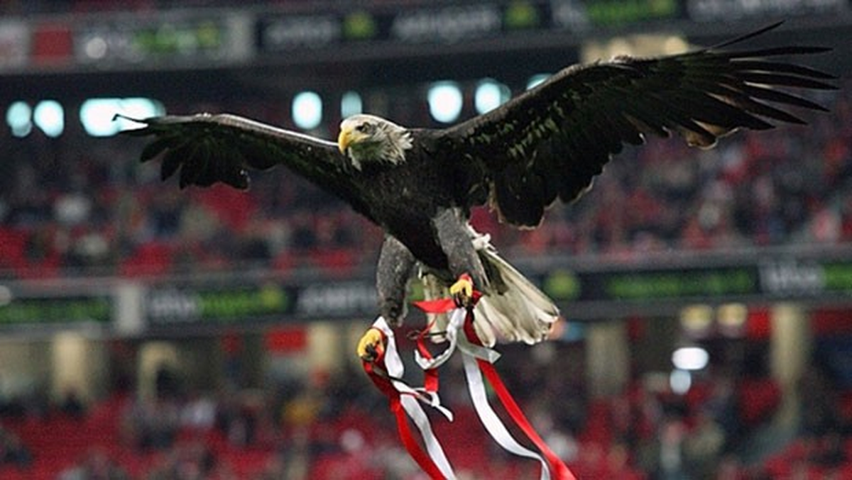 Benfica\'dan Beşiktaş Öncesi Flaş Karar!