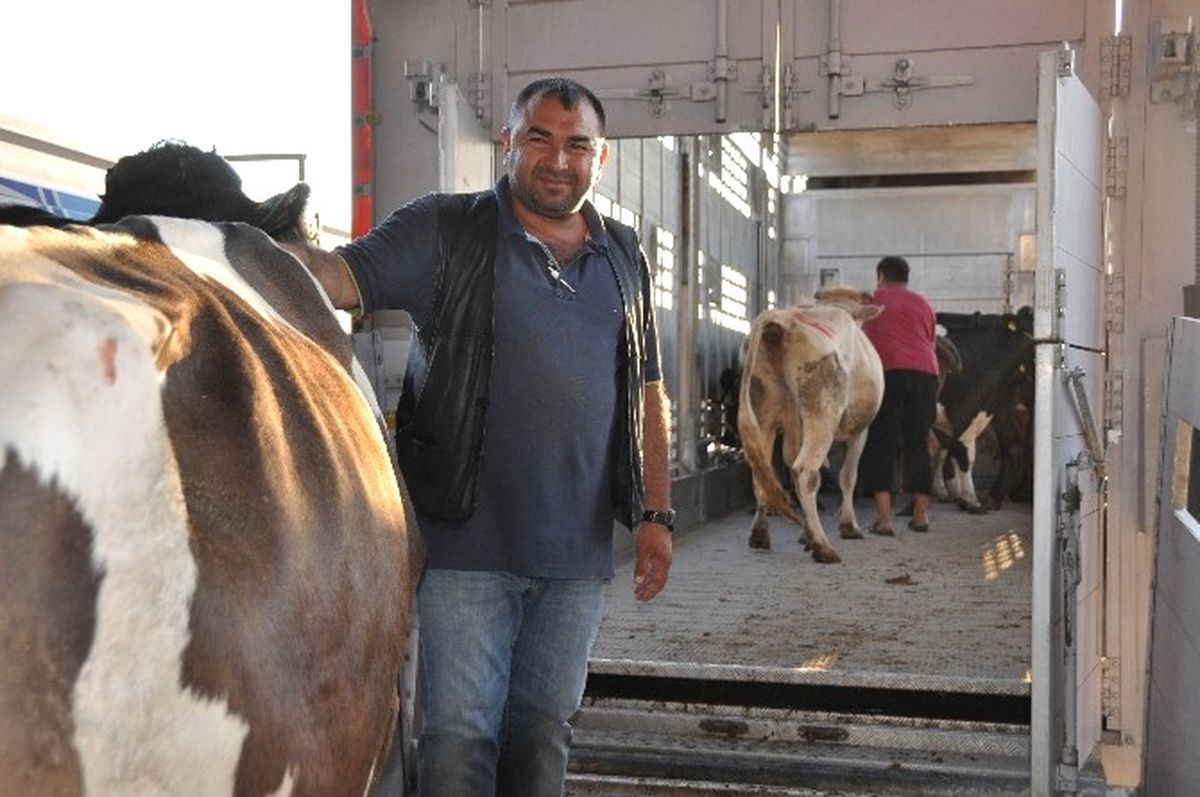 Bu Konfor Hayvanları da Sevindirdi