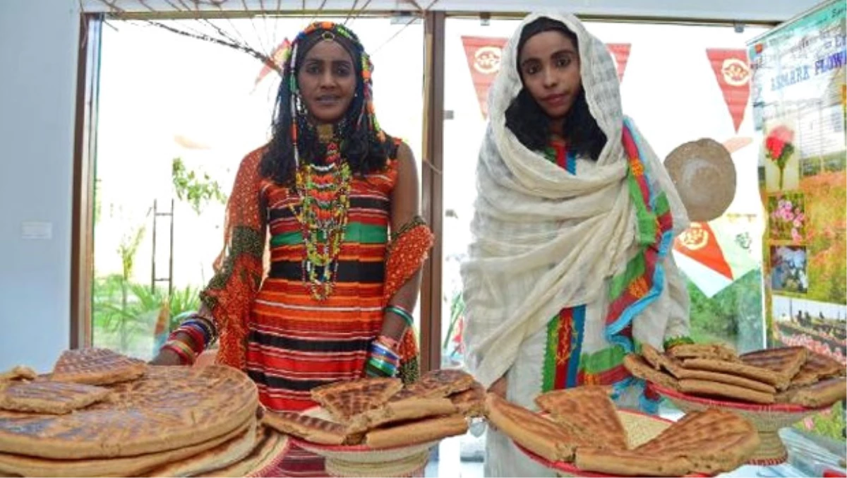 Eritre Milli Günü Expo 2016 Antalya\'da Kutlandı