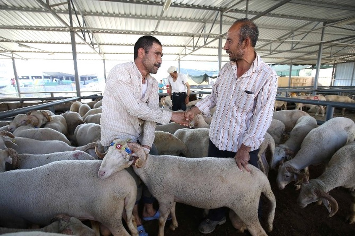 Karşıyaka Kurban Bayramı\'na Hazırlandı