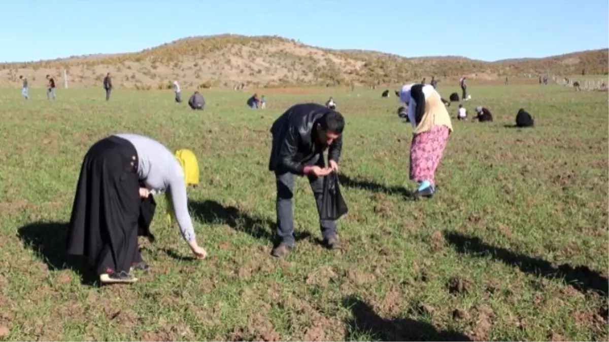 Kozluk'ta 'Gök Taşı' Heyecanı