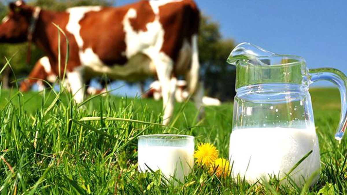 Lüleburgaz\'da Süt Üreticilerine Destek