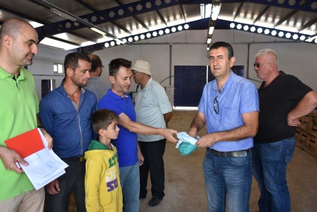 Makü\'nün Yetiştirdiği Honamlı Keçiler, Satışa Sunuldu