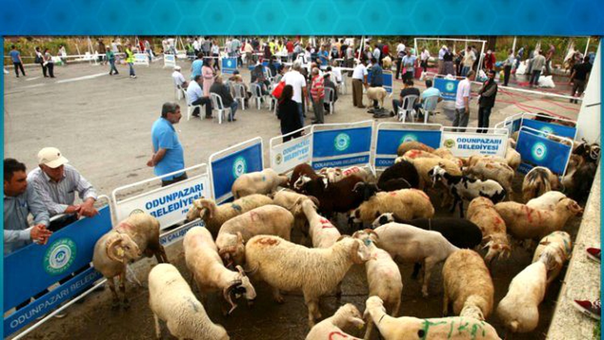 Odunpazarı Belediyesi, Ücretsiz Kurban Kesimi Yapacak