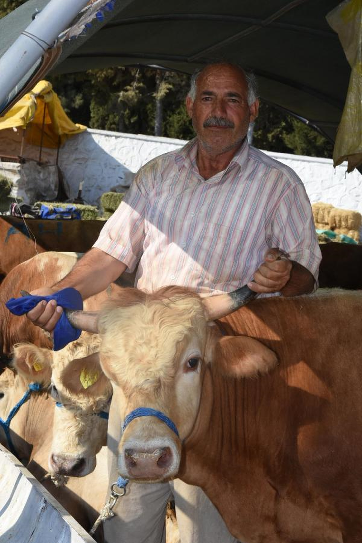 Satılan Kurbanlara Çocuklarının Adını Verdiler