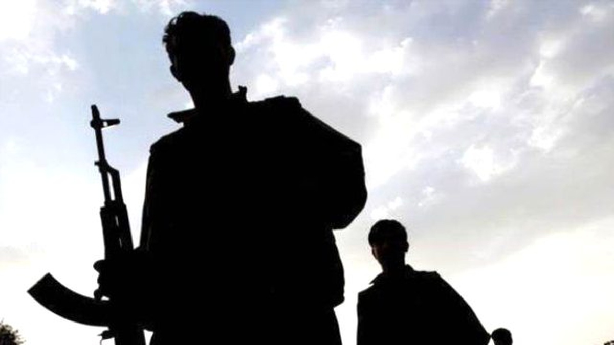 Siir\'te 2 Terörist Silahları ile Birlikte Ölü Ele Geçirildi