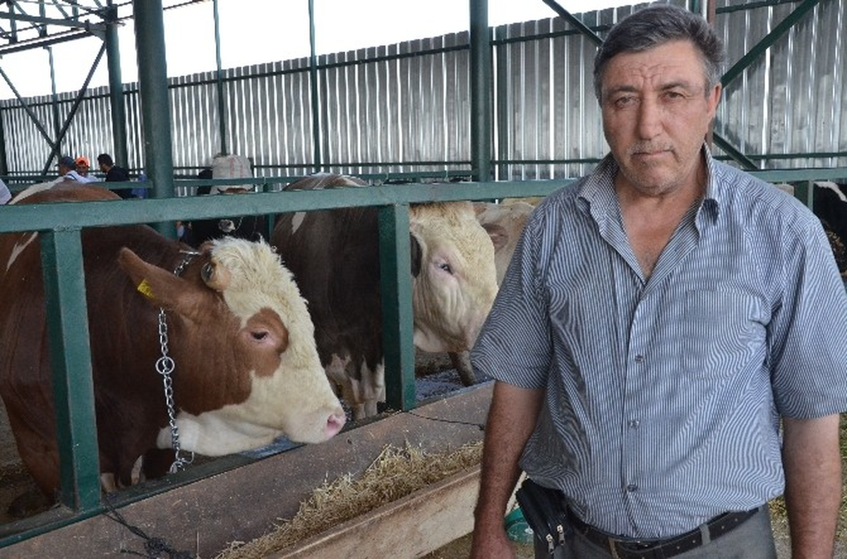 Ağrılı Besici Umduğunu Bulamadı