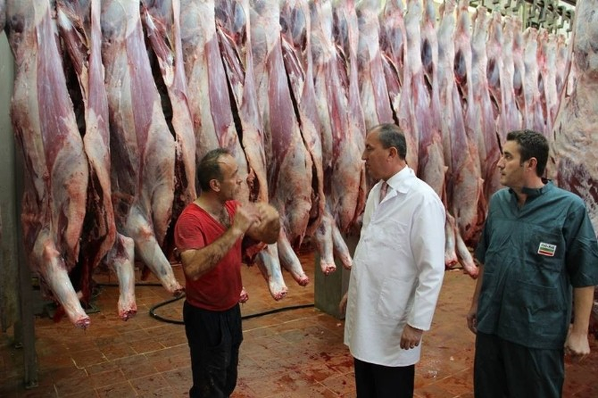 Biga\'da Kurban Bayramında Ücretsiz Hizmet