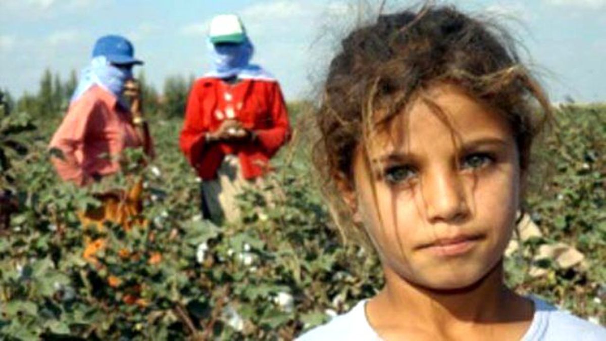 Çocuğunuz Okula Gitmek İstemiyorsa Dikkat!