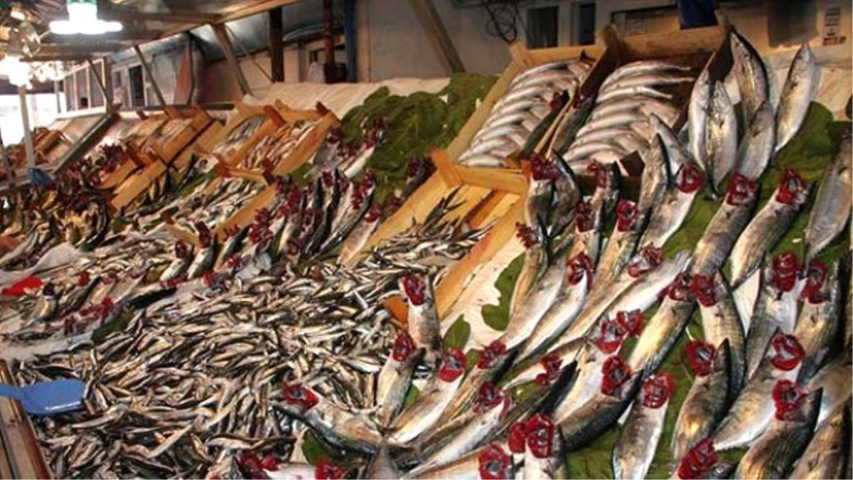 Gelibolu\'da Balık Fiyatları Düştü