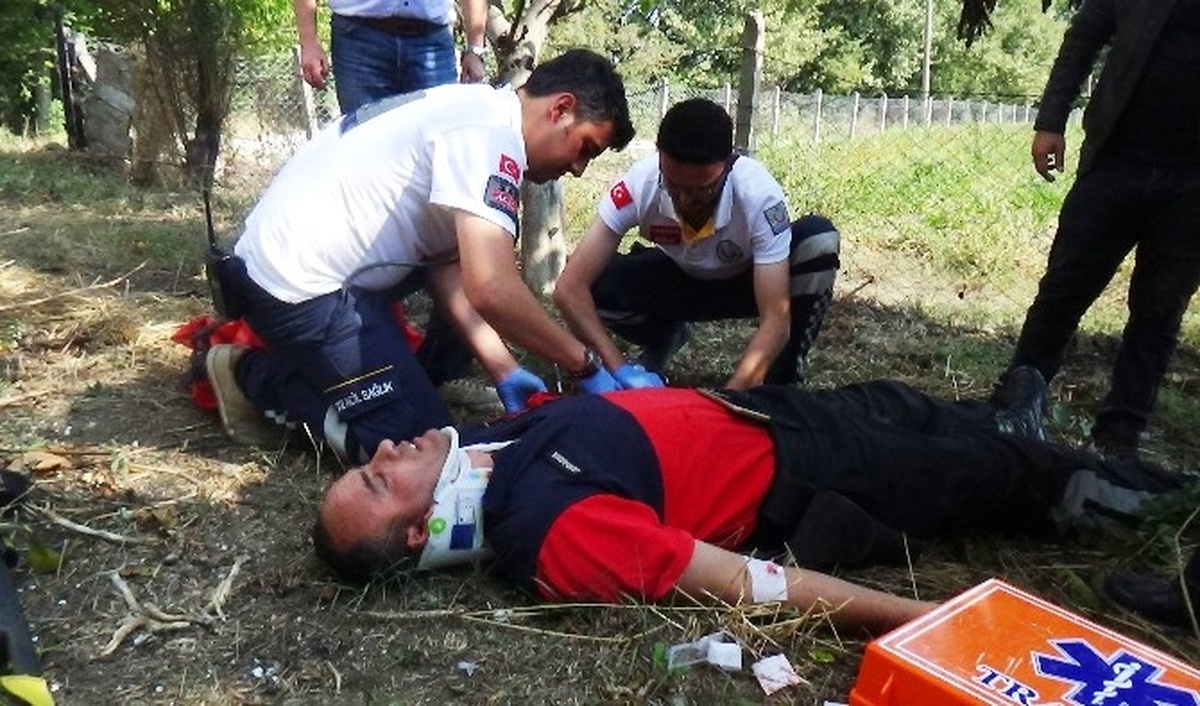 Jandarma Aracı Kaza Yaptı, Komutanlar Köpek İçin Seferber Oldu