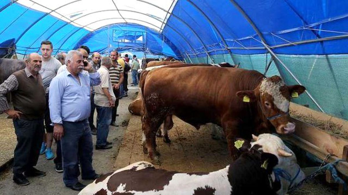 Kurban Bayramına Doğru