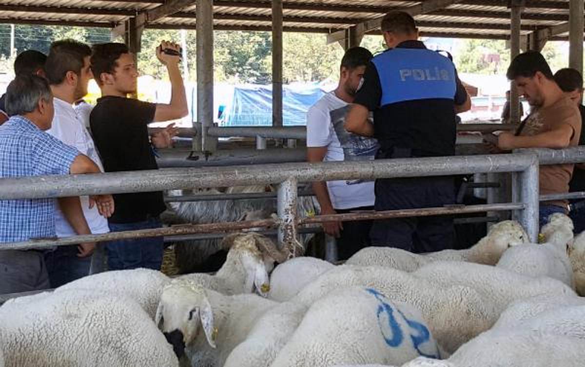 Kurban Pazarında Sahte Para Uyarısı