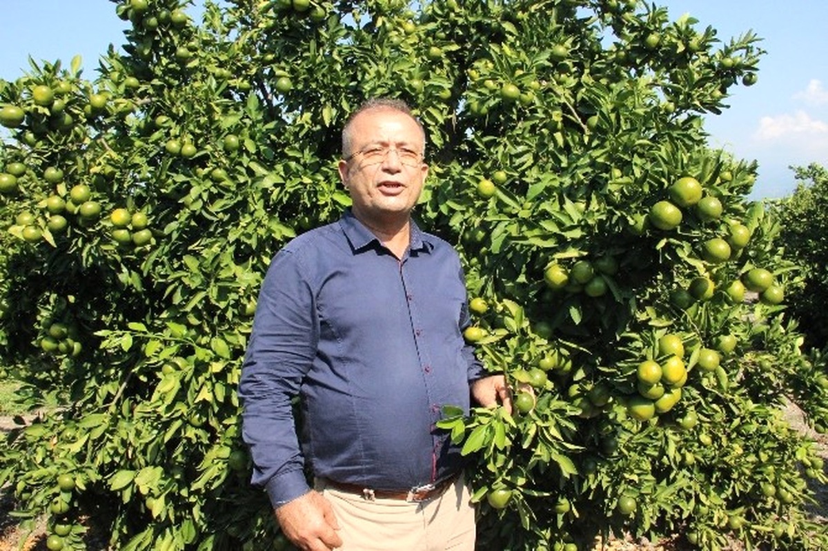 Narenciyede "Rusya" Sevinci