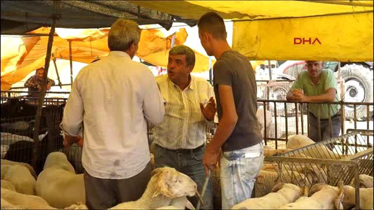 Turgutlu\'da Kurbanlık Hareketliliği