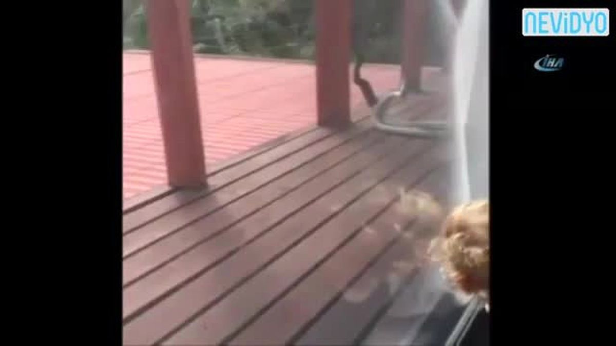 Verandada Piton Kavgası !
