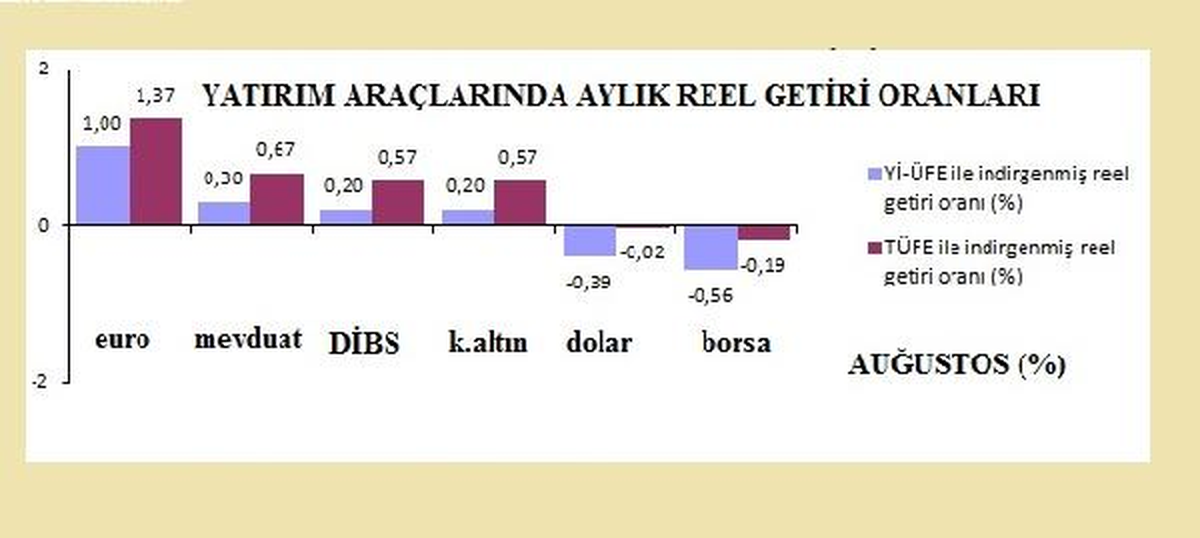 Ağustos\'ta En Çok Euro Kazandırdı, Dolar ve Borsa Kaybettirdi