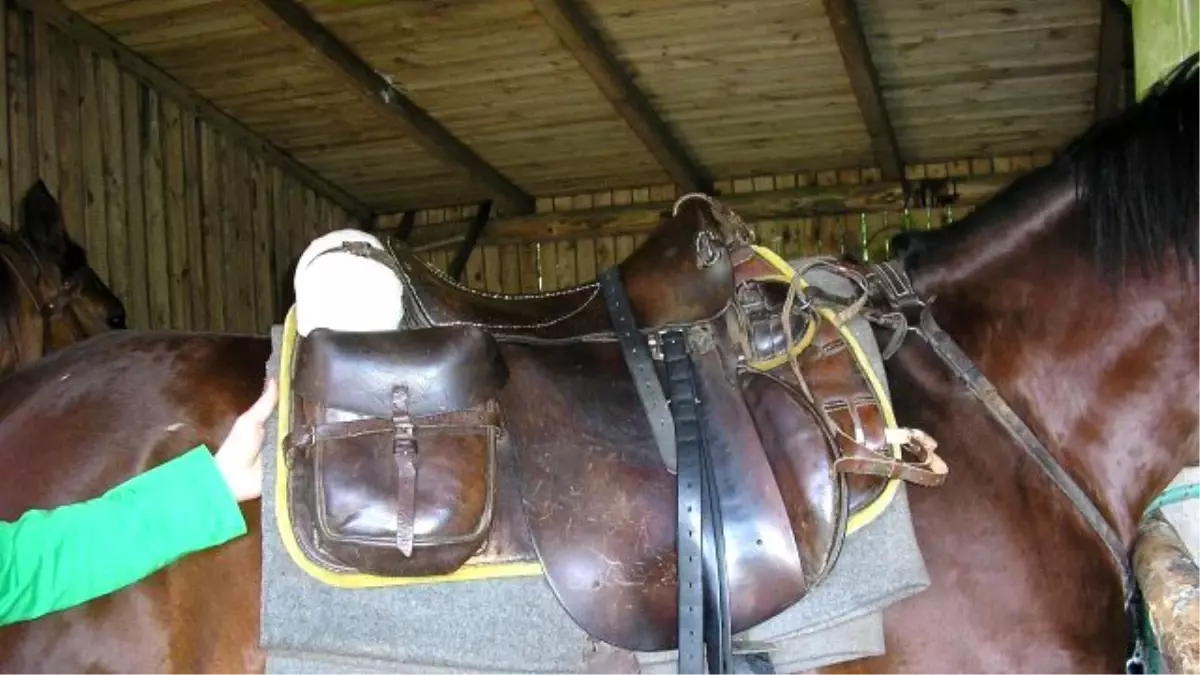 Beypazarı\'ndan Türkmenistan\'a "Eyer" Gönderiyor