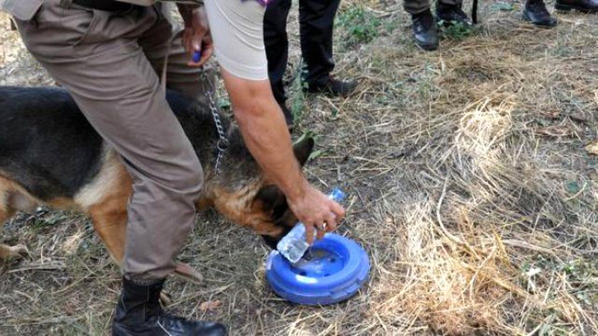 Bomba Köpeği "Takip" İçin Seferber Oldular