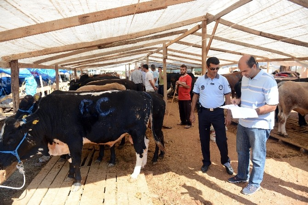 Büyükşehir\'den Kurban Satış Yerlerine Denetim