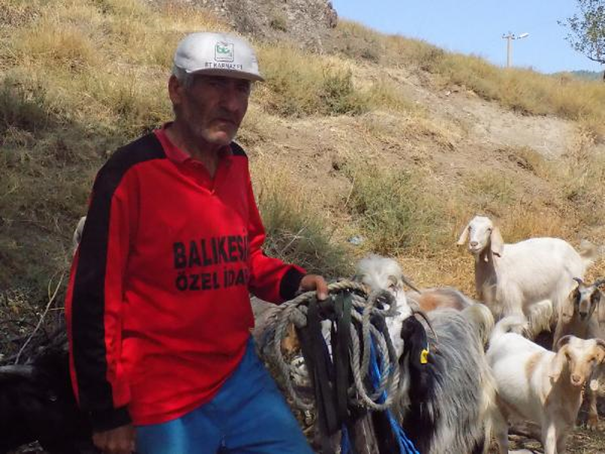 Keçileri ile Birlikte Kayalıklarda Mahsur Kalan Çobanı, İtfaiye Ekipleri Kurtardı