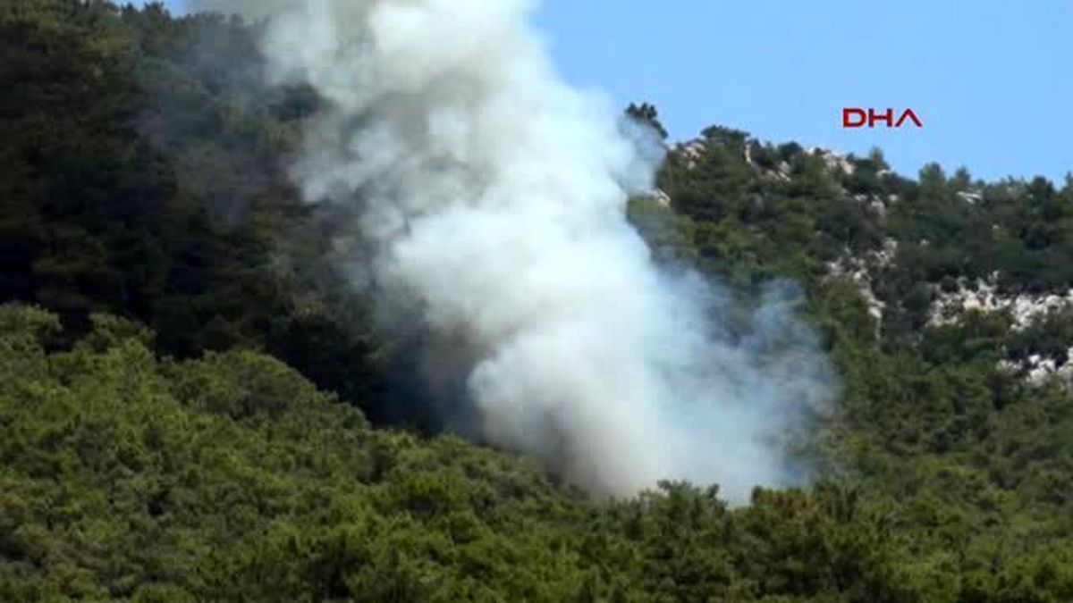Kemer Hızlı Müdahale Ormanı Kurtardı