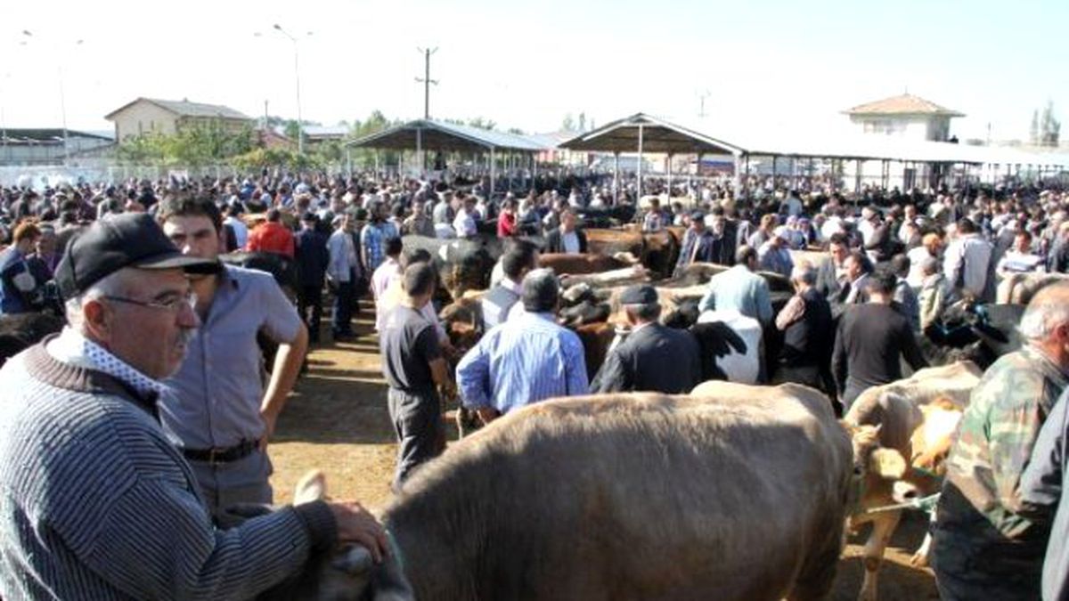 Kurban Bayramı\'na Doğru